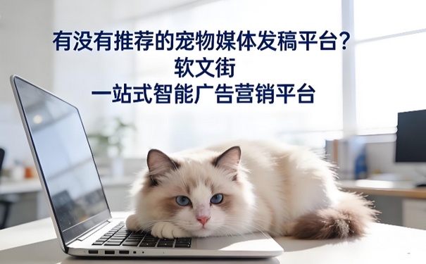 自媒体代发平台怎么选？关投强用"AI+全媒体"给出答案封面配图